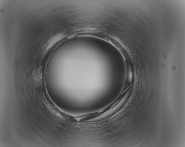 X0000086271450200703291423