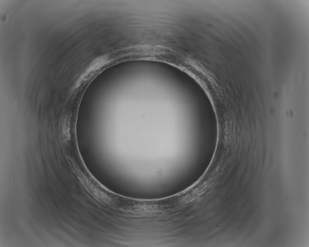 X0000086271451200703291423