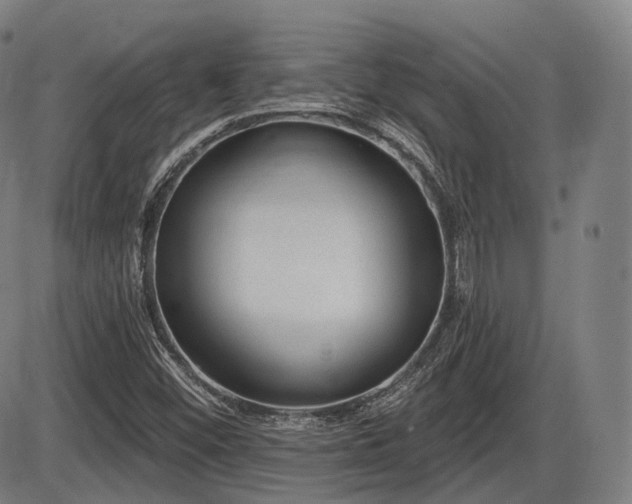 X0000086271452200703291423