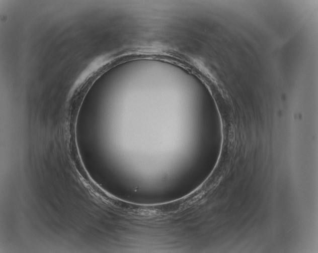 X0000086271456200703291423
