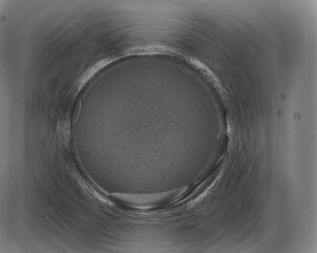 X0000086271457200703291423