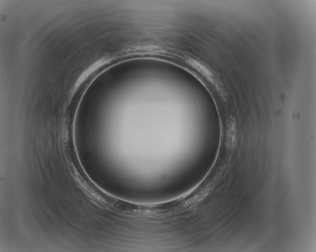 X0000086271458200703291423