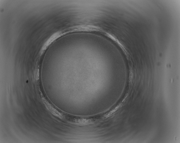 X0000086271459200703291423