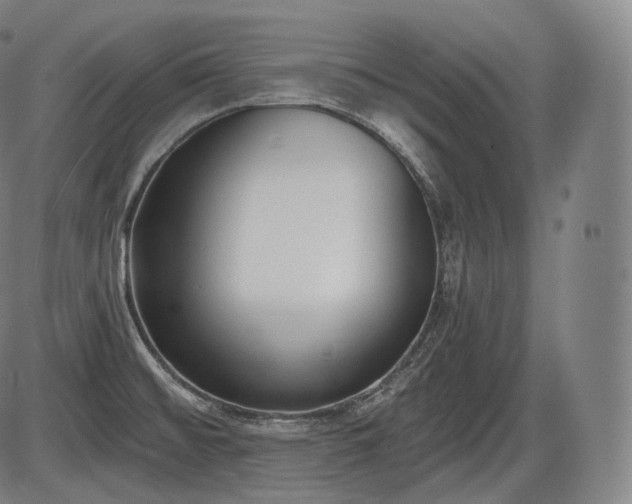 X0000086271476200703291423