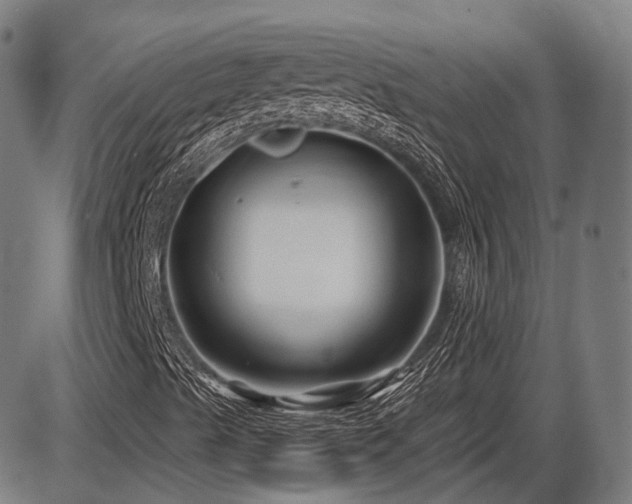 X0000086271489200703291422