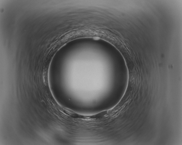 X0000086271490200703291422