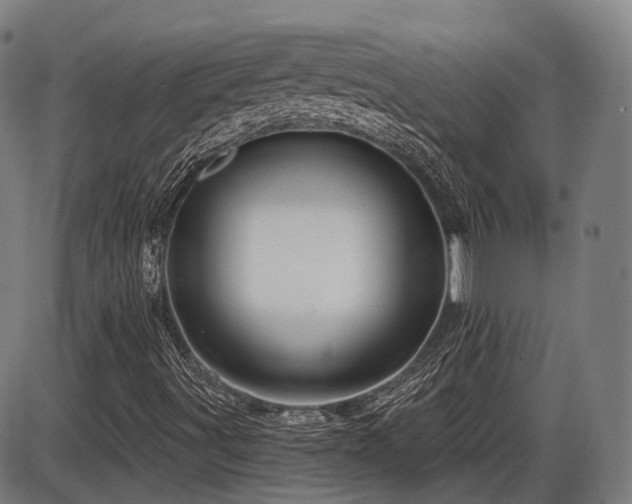 X0000086271491200703291422