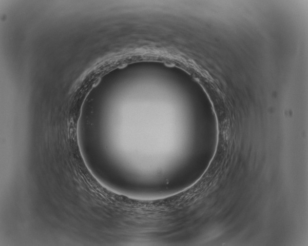 X0000086271495200703291422