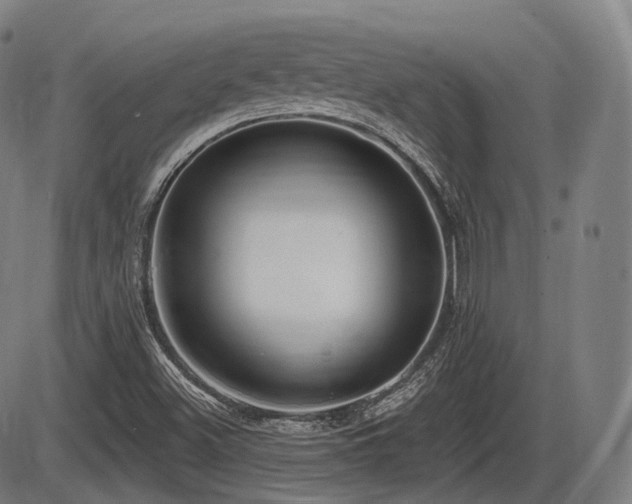 X0000086271500200703291422