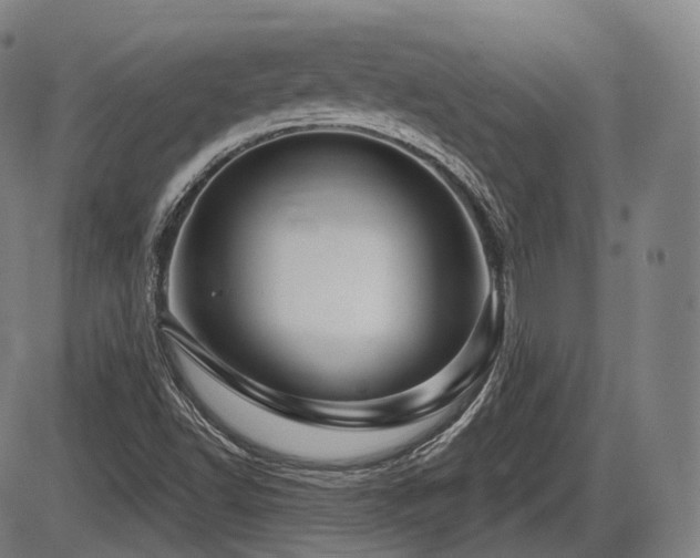X0000086271502200703291422
