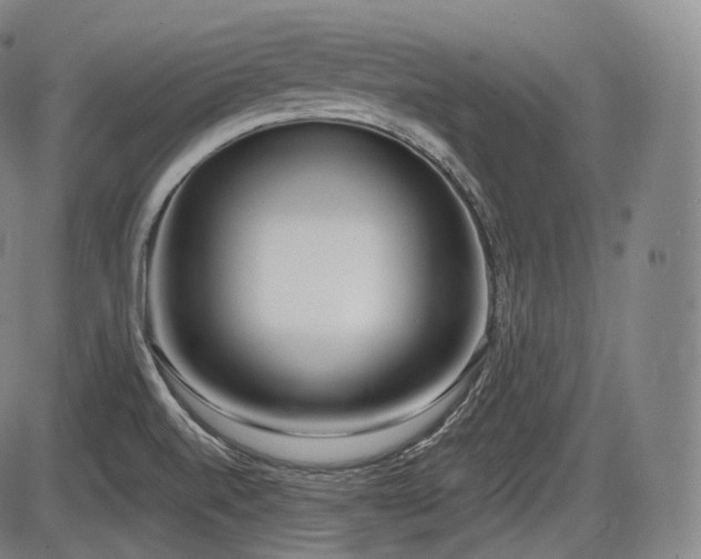 X0000086271520200703291422