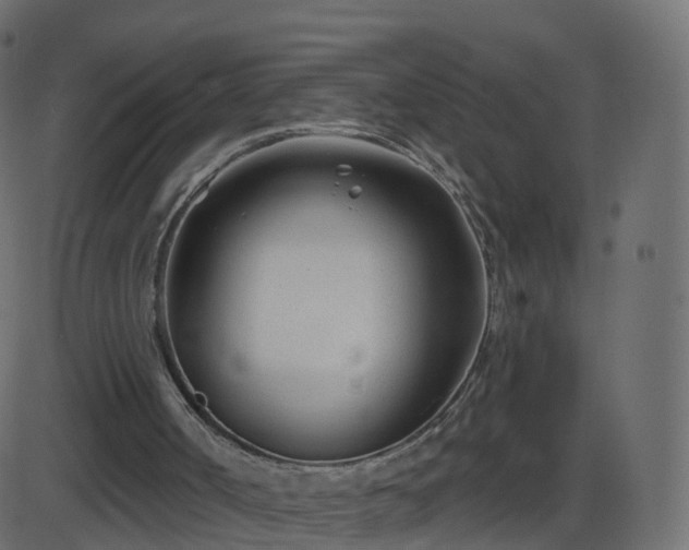 X0000086270002200704051321