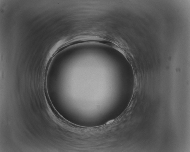 X0000086270003200704051321