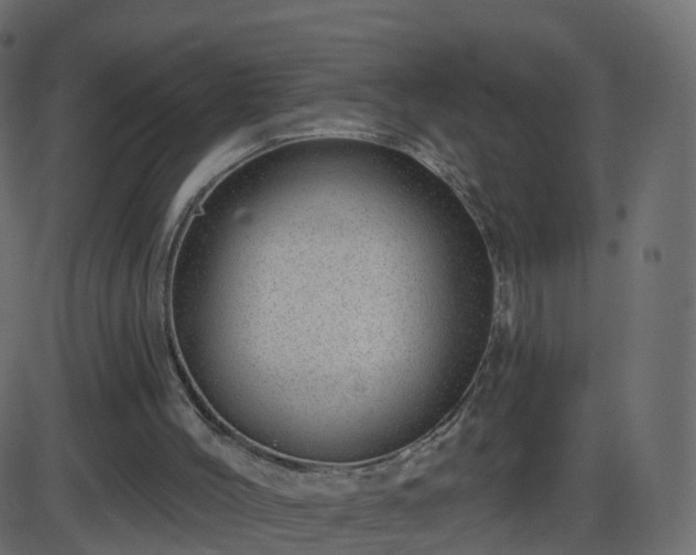 X0000086270004200704051321