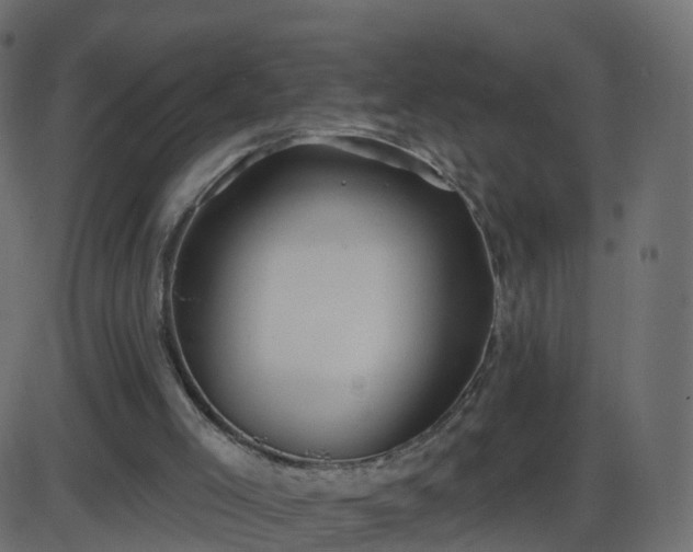 X0000086270005200704051321