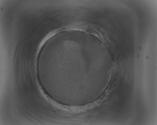 X0000086270006200704051321