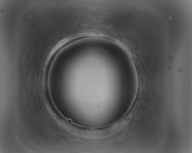 X0000086270008200704051321