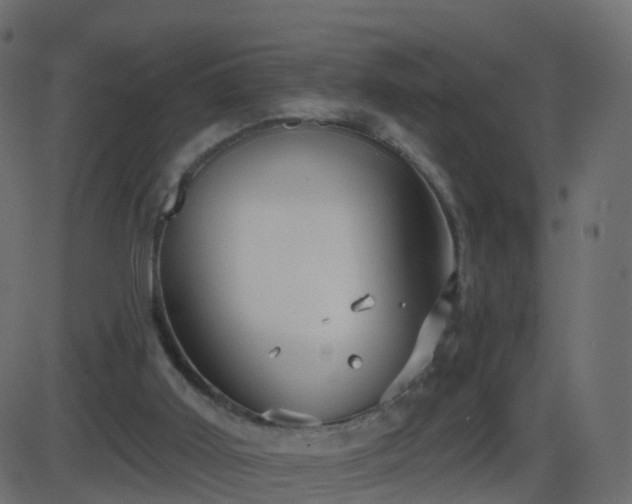 X0000086270011200704051321