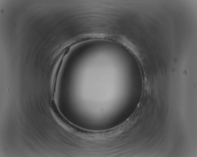 X0000086270013200704051321