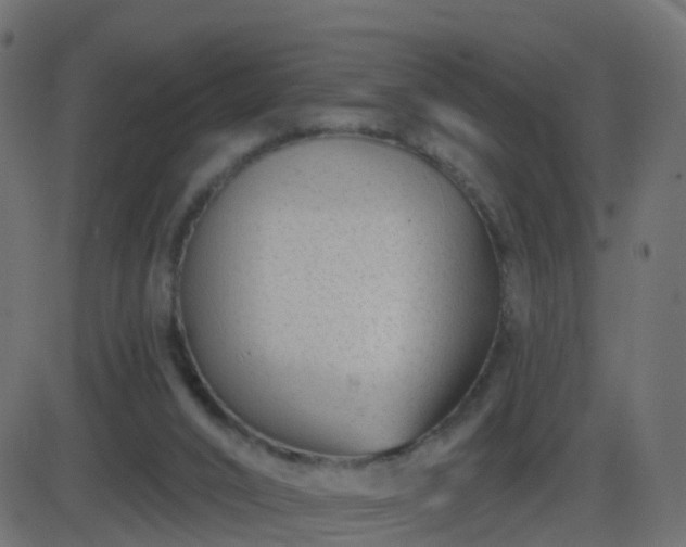 X0000086270016200704051321