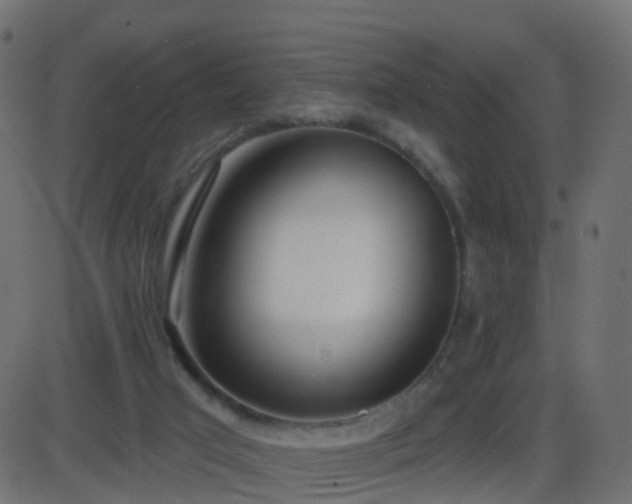 X0000086270017200704051321