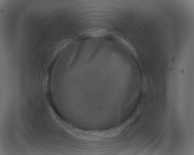 X0000086270018200704051321