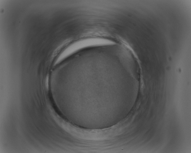 X0000086270019200704051321