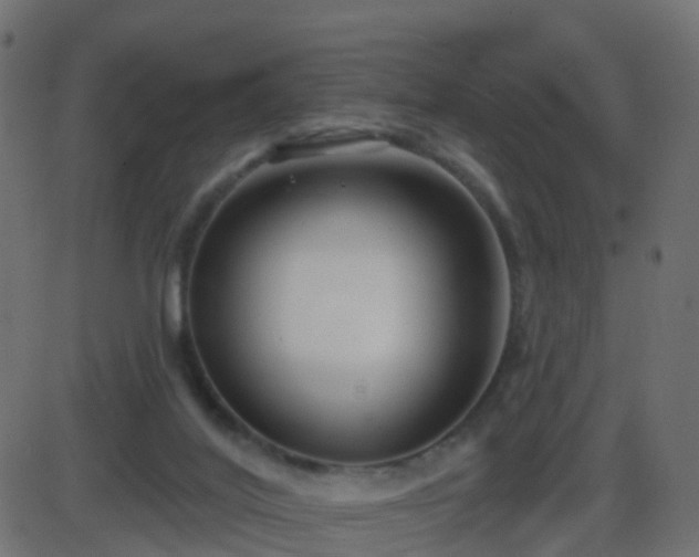 X0000086270020200704051321