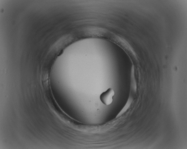 X0000086270021200704051321