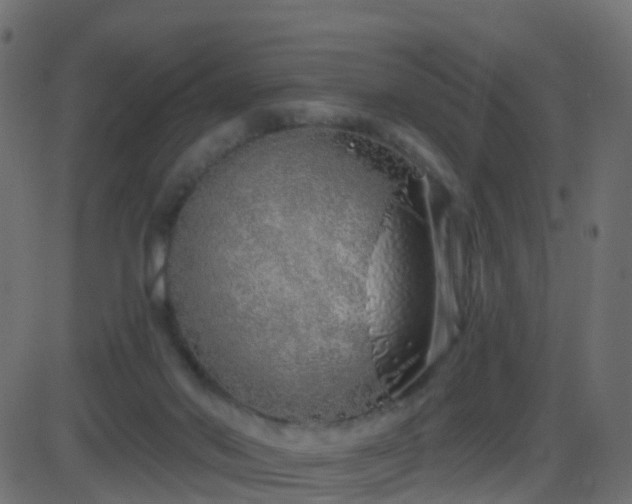 X0000086270022200704051321