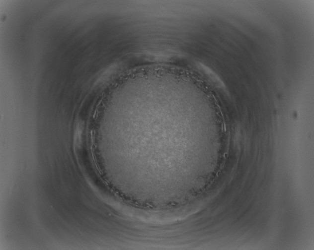 X0000086270026200704051321