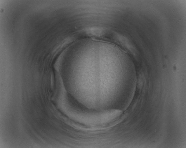 X0000086270027200704051321