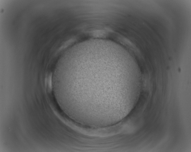 X0000086270028200704051321