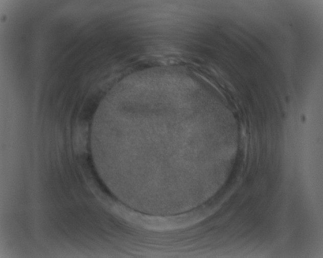 X0000086270030200704051321