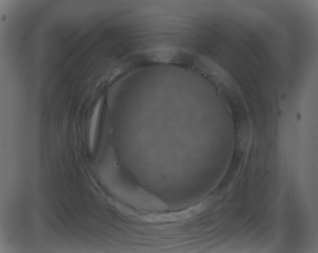 X0000086270031200704051321