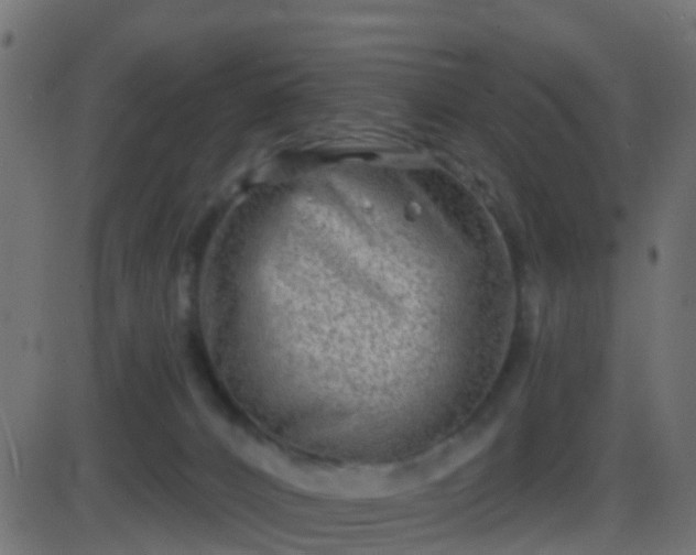 X0000086270032200704051321