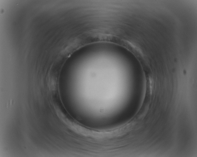 X0000086270039200704051320