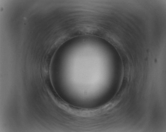 X0000086270040200704051320