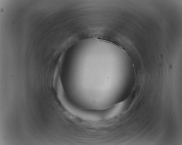 X0000086270041200704051320