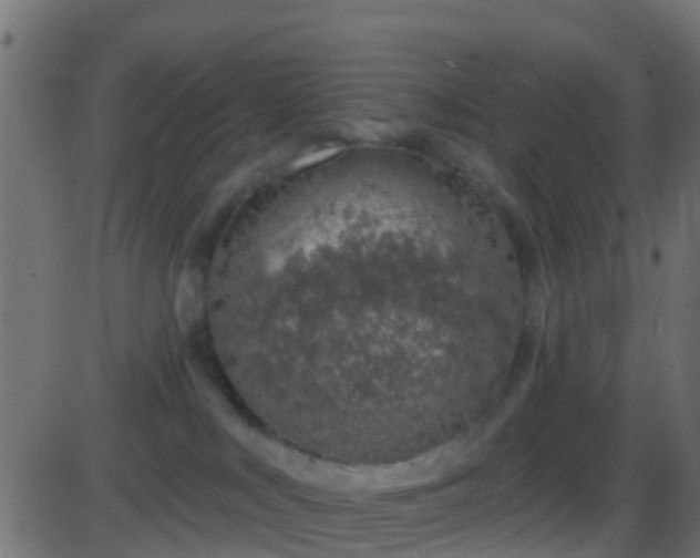 X0000086270043200704051320