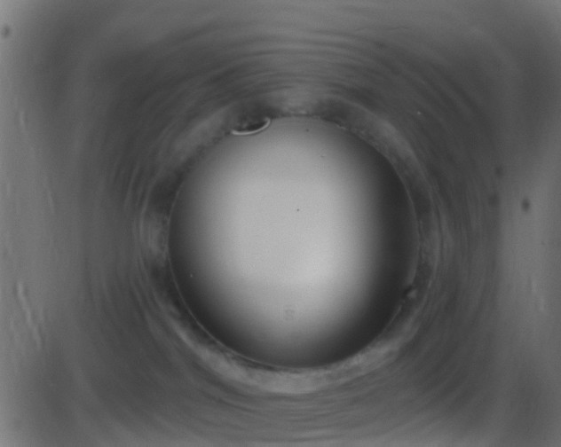 X0000086270044200704051320