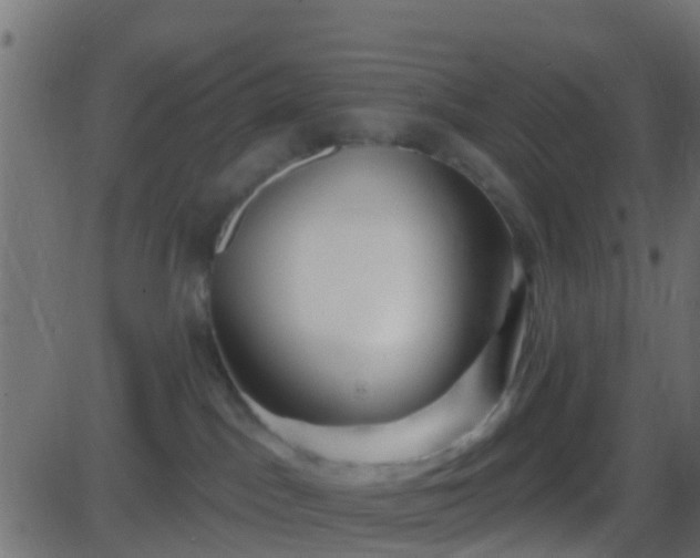 X0000086270045200704051320