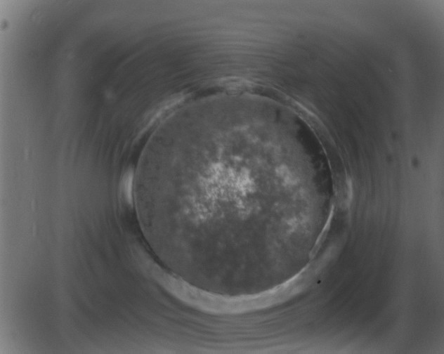 X0000086270047200704051320