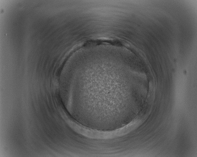 X0000086270048200704051320