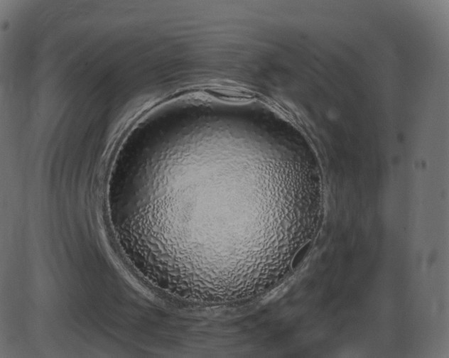 X0000086270049200704051320