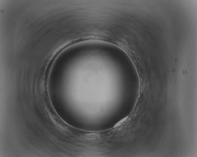 X0000086270050200704051320