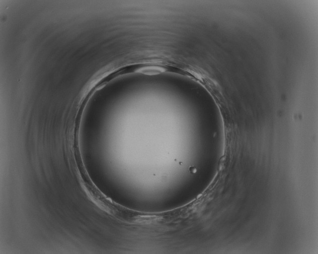 X0000086270051200704051320