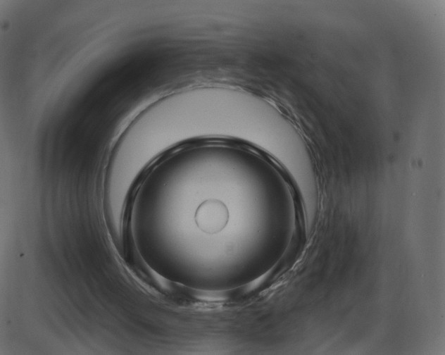 X0000086270052200704051320