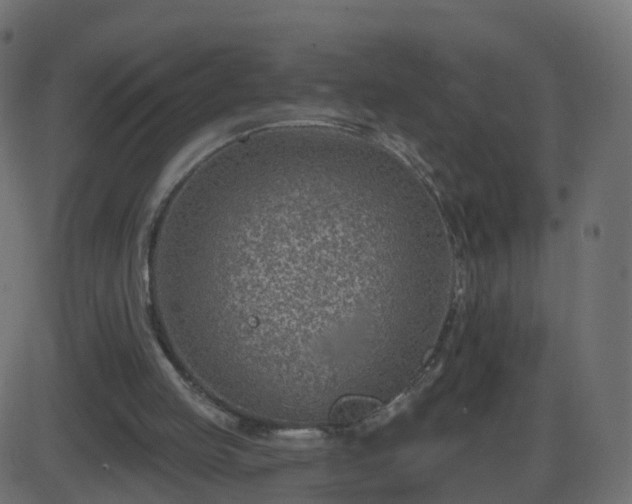 X0000086270053200704051320