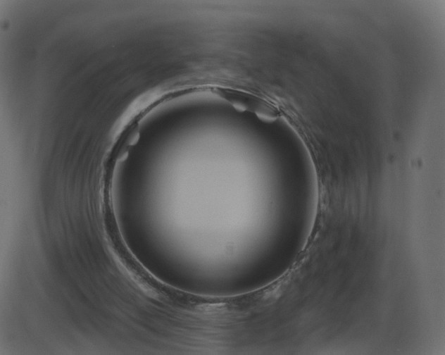 X0000086270054200704051320